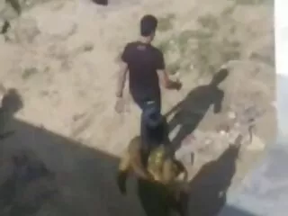 Nézze meg a pornó videókat formás punci a kutyáról, 4-1 jó minőségű, a Nagy Mellek kategóriában.