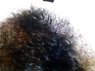 Nézd néger punci pornó videók jó minőségű ízletes, kategóriájába tartozó HD pornó filmek.