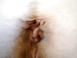 Lásd a jó szőke punci minőségű Valerie foxx pornó videókat, a Nagy Mellek kategóriájában.